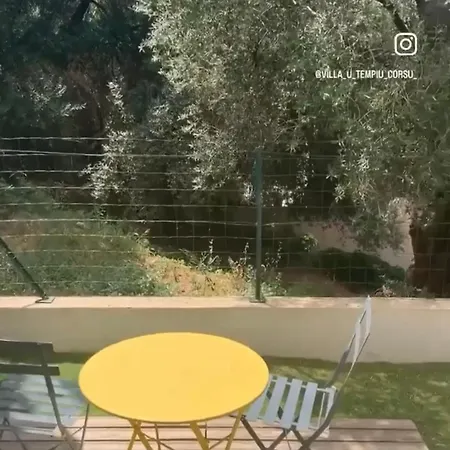 Lavighiu *