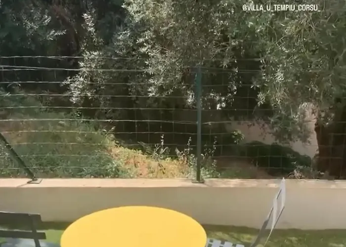 Lavighiu *